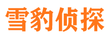 汉阳外遇出轨调查取证